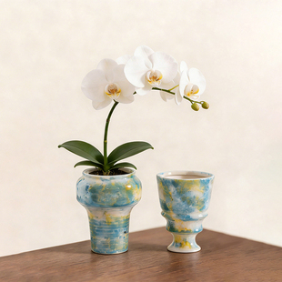 蝴蝶兰花盆陶瓷家用蝴蝶兰专用绿植盆栽轻奢高级桌面装 饰家居摆件