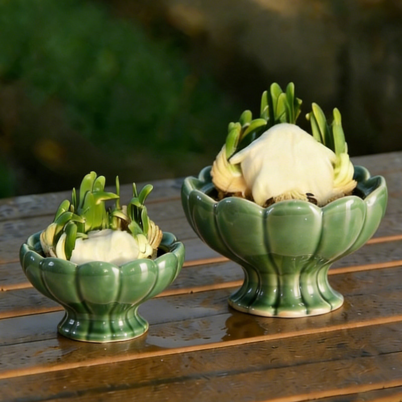 水仙花盆雕刻种球水养花卉桌面装饰摆件冬季水培器皿绿植陶瓷盆栽