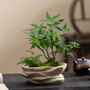 绿植盆栽底部有孔透气好禅意办公室摆放物件 创意仿石粗陶家用个性