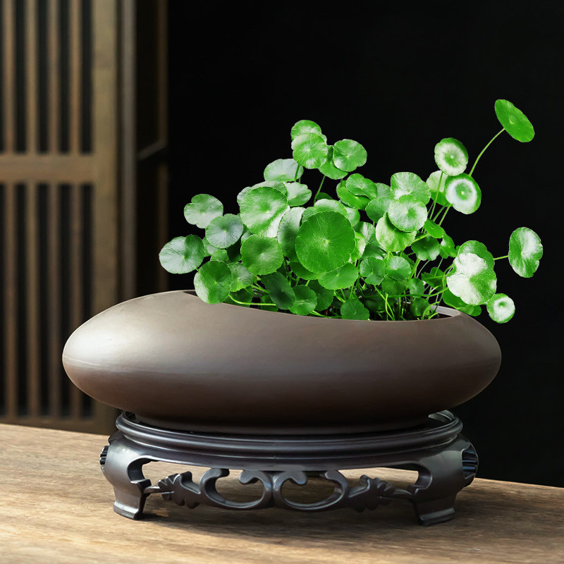 铜钱草水培花盆家用水养绿植桌面金钱草专用紫砂带托盘无孔大小号