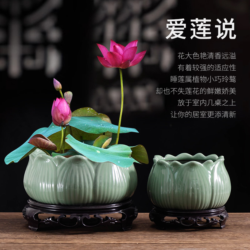 窑变碗莲水培花盆家用陶瓷大口径一叶莲睡莲水养专用花盆无孔带托