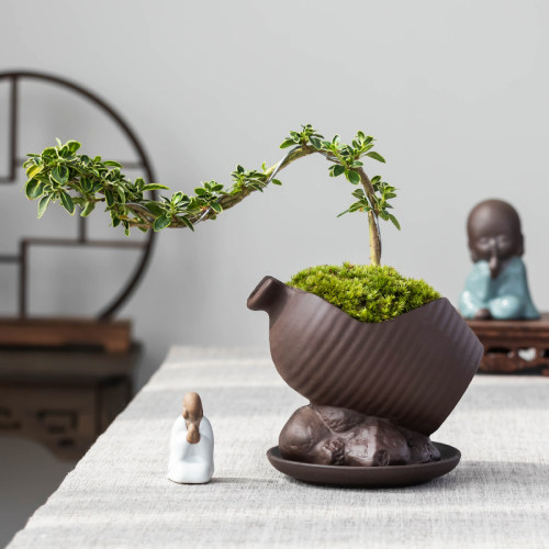 紫砂花盆六月雪老桩缺口造景盆