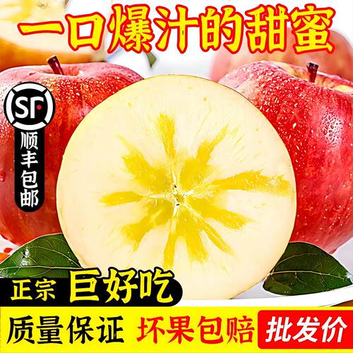 阿克苏冰糖心苹果正宗红旗坡特级