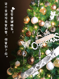 圣诞节装饰品家用圣诞树套餐配件挂件场景布置用品精品圣诞球顶星