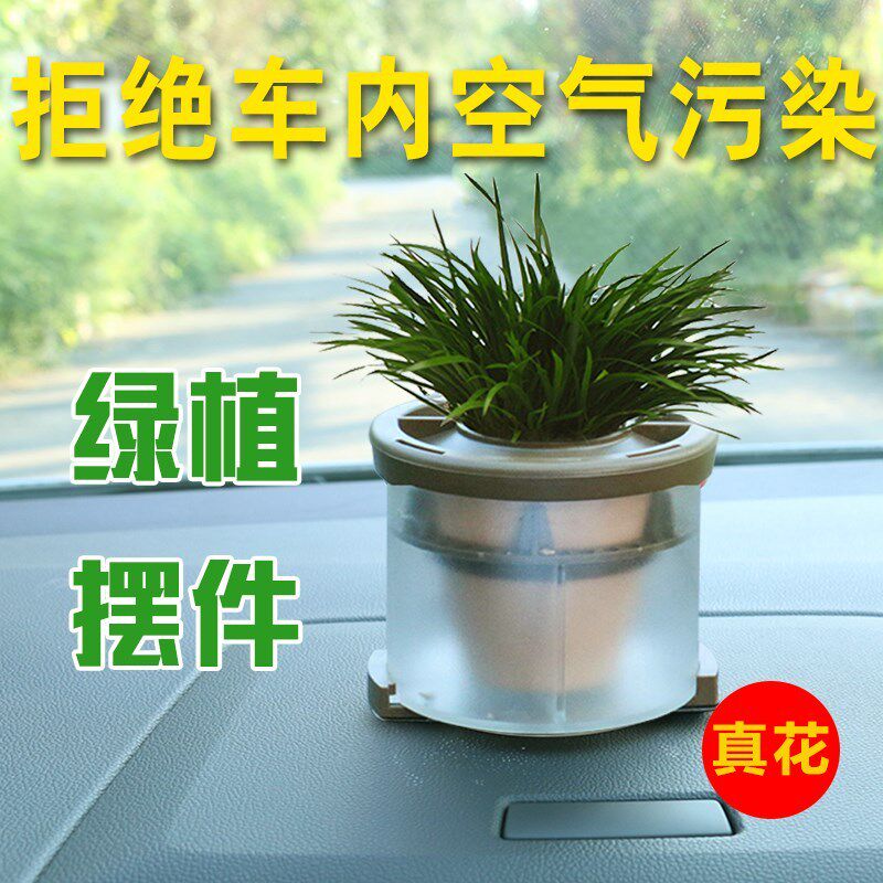 车摆件盆栽素材模板 车摆件盆栽图片下载 小麦优选