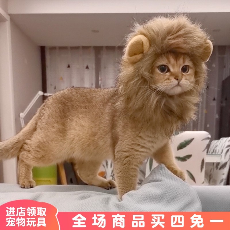 猫咪头套狮子可爱装扮狗狗帽子兔耳朵小型犬金渐层搞怪宠物猫头饰,宠物/宠物食品及用品,帽子,淘宝优惠券,粉丝福利购,淘宝优惠卷
