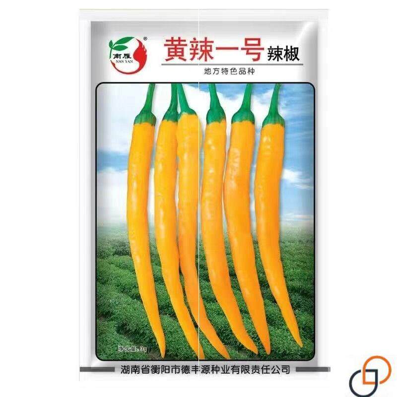 湖南黄线椒种子黄贡椒种子辣椒种子衡东三樟黄椒种子黄辣一号种籽