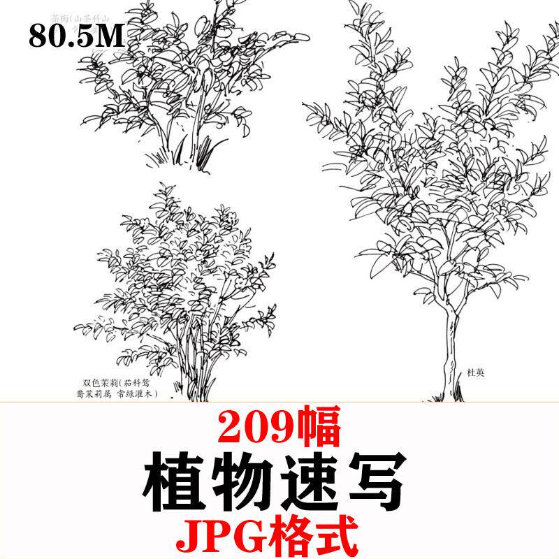 植物风景速写手绘临摹电子版园林树木花草黑白绘画美术线描素材