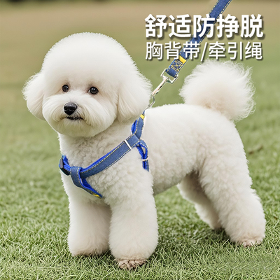 狗狗牵引绳小型幼犬胸背带遛狗链