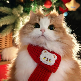 猫咪新年围巾宠物喜庆围脖红色保暖中国风口水巾围兜狗狗过年装饰