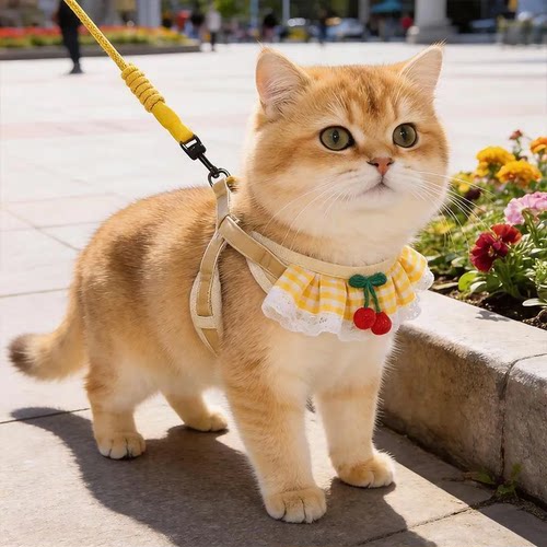 猫咪牵引绳防挣脱可调节遛猫绳子