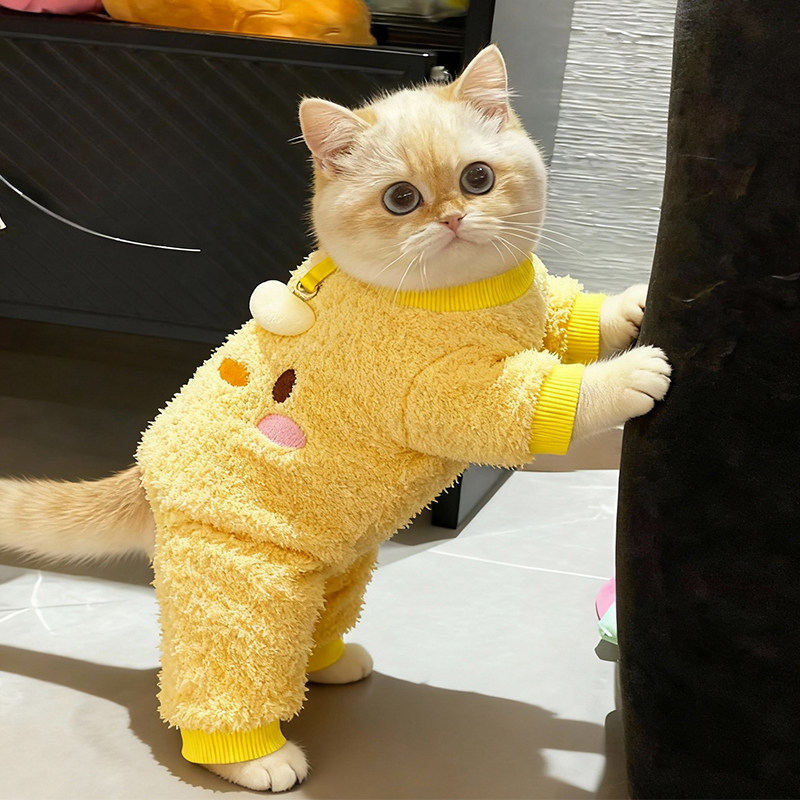 猫咪衣服秋冬款四脚绒衣可牵引布偶英短金渐层宠物小猫保暖防掉毛,宠物/宠物食品及用品,猫宠物服装/雨衣（新）,淘宝优惠券,粉丝福利购,淘宝优惠卷