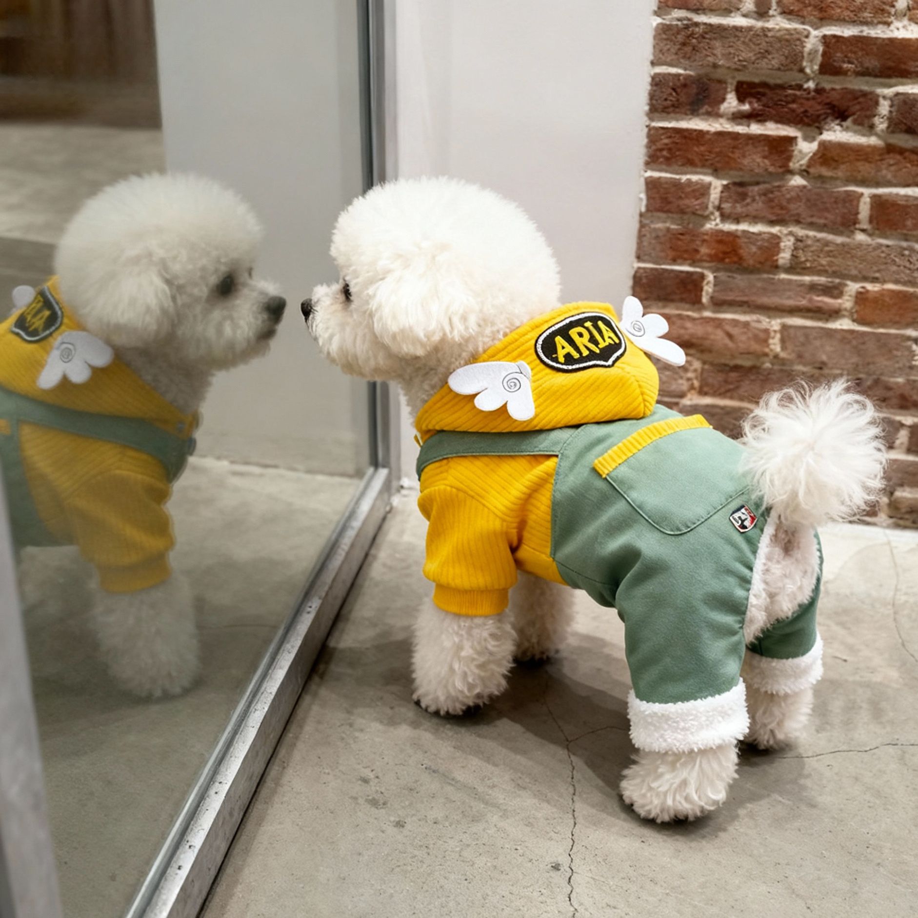 狗狗衣服秋冬款可爱小翅膀四脚衣