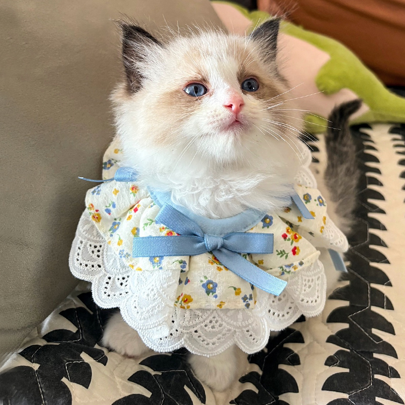 寵物口水巾碎花蝴蝶結蕾絲邊圍兜