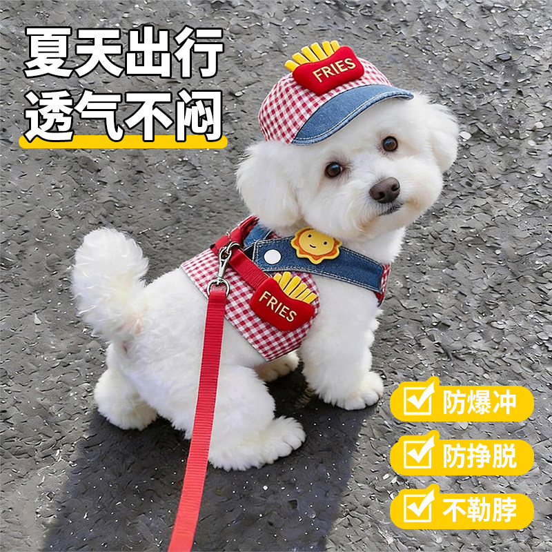 狗狗牵引绳夏天小狗外出透气胸背带泰迪比熊博美中小型犬宠物衣服