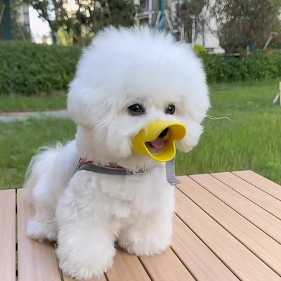 狗狗嘴套防咬防叫防乱吃专用口罩