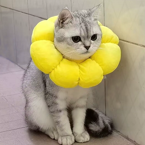 Регулируемый чокер на солнечной энергии, плавательный круг для шеи, подсолнух, кот, можно грызть