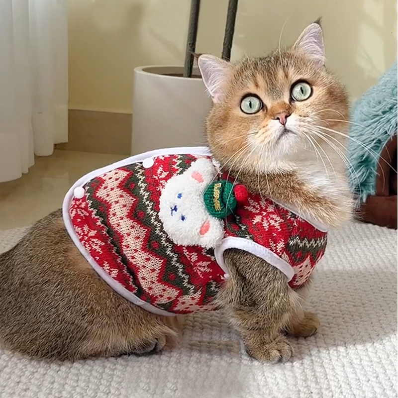 猫咪衣服圣诞小熊马甲秋冬季保暖