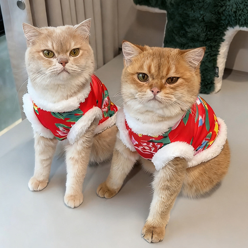 Dog clothing winter warm Northeast big flower cotton coat Teddy, Bichon Frise, Shih Tzu pet cat winter festive Tang suit