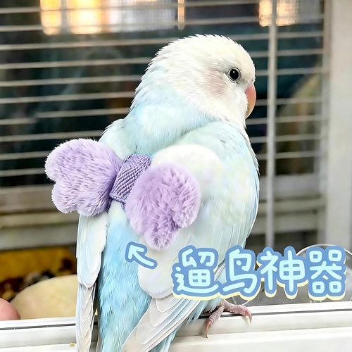 鹦鹉牵引绳外出遛鸟放飞绳不伤脚