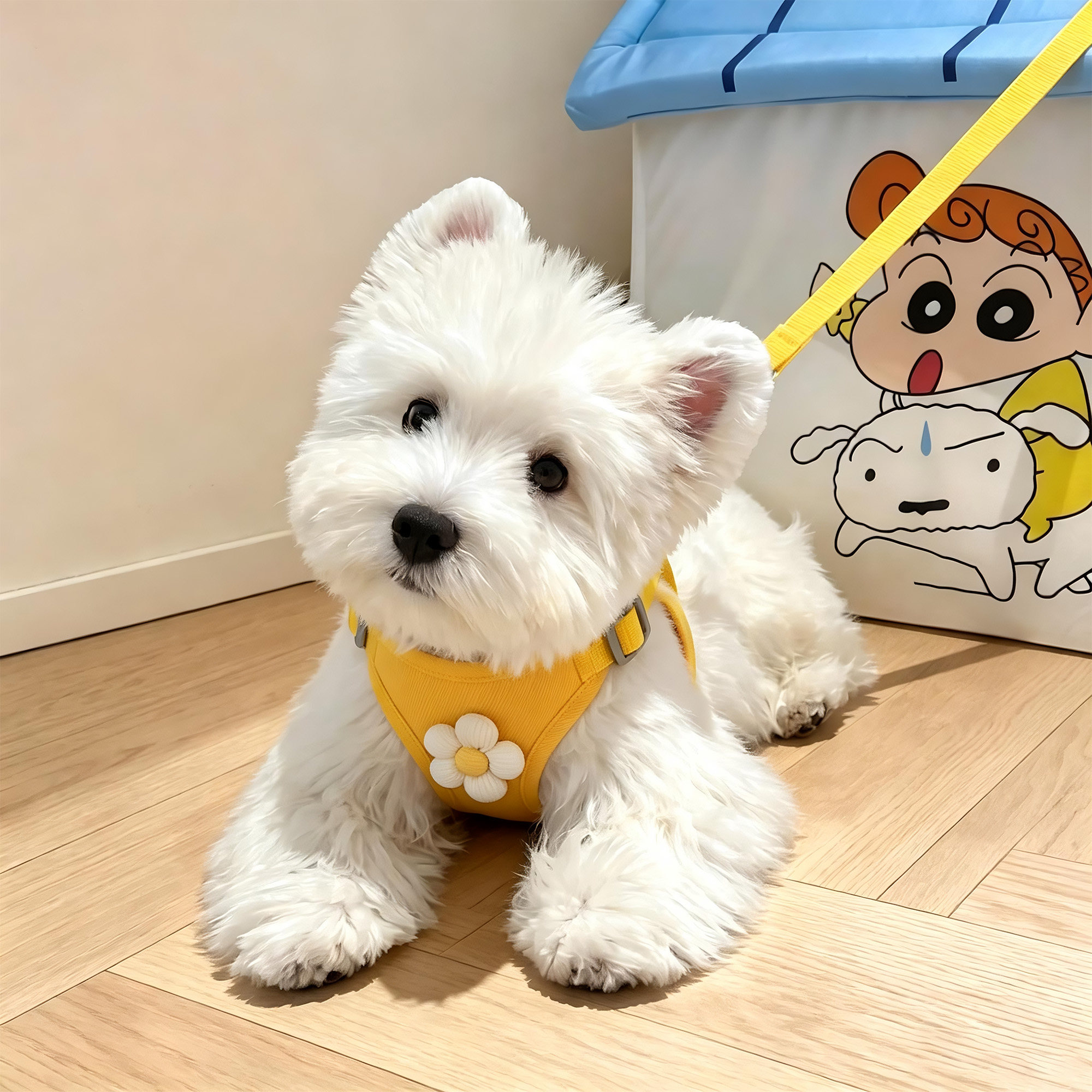 狗狗牵引绳背心式外出专用胸背带