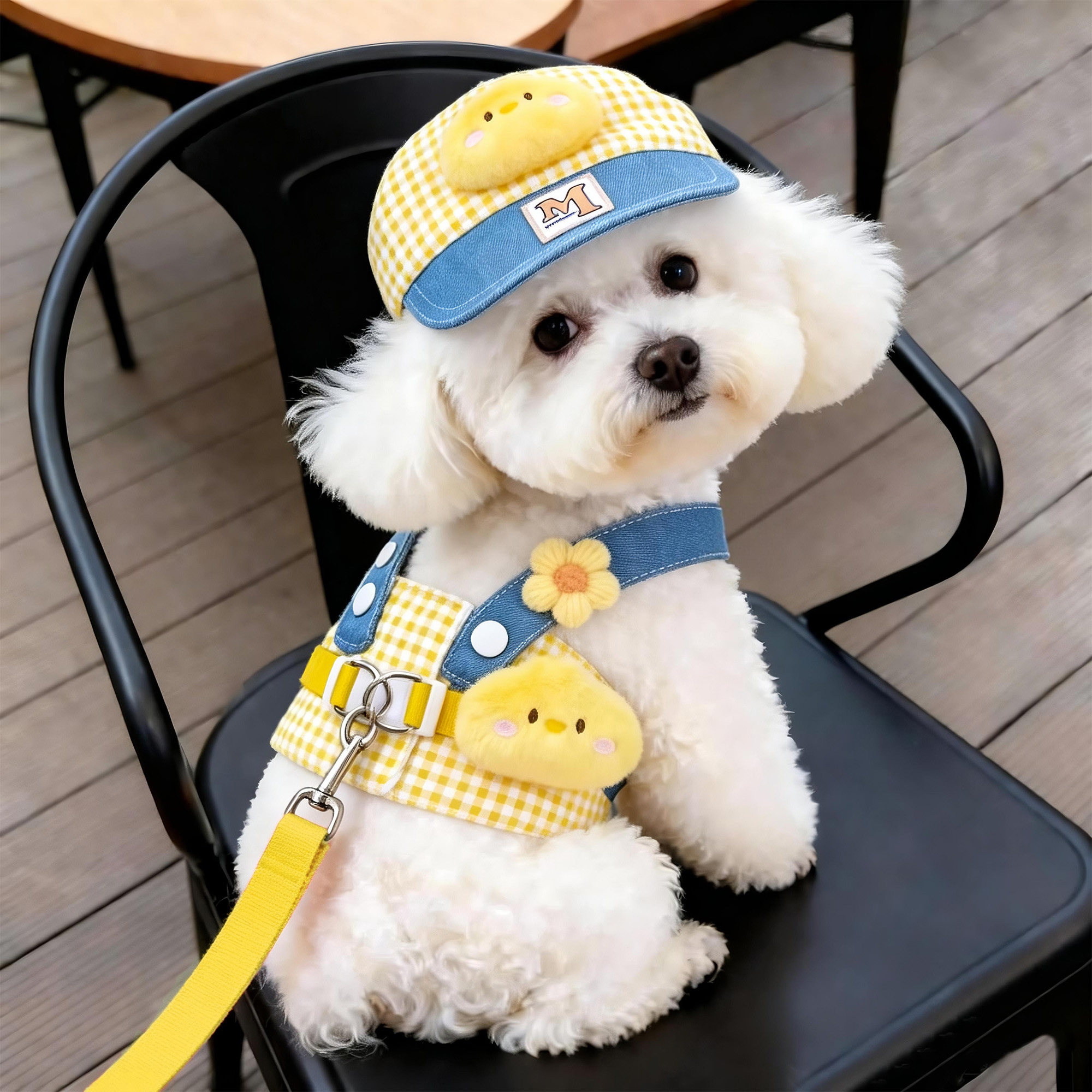 狗狗牵引绳小型犬胸背带遛狗绳