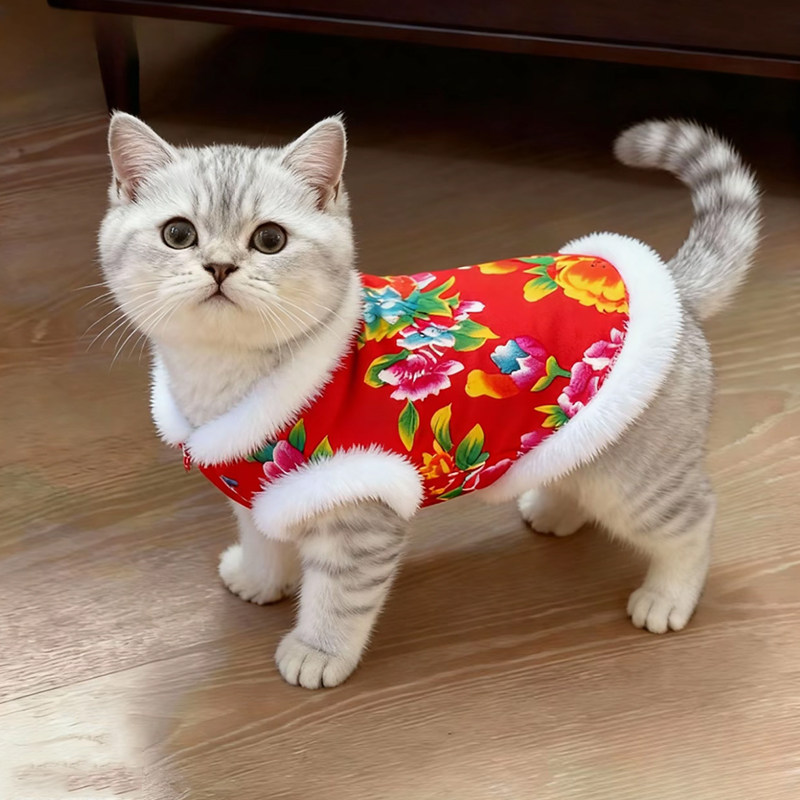 猫咪衣服秋冬款东北大花毛绒棉衣金渐层布偶幼猫宠物狗狗冬天保暖,宠物/宠物食品及用品,猫宠物服装/雨衣（新）,淘宝优惠券,粉丝福利购,淘宝优惠卷