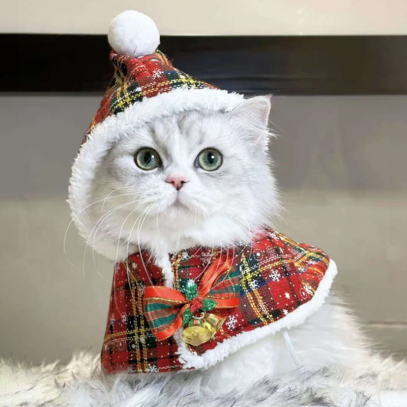 猫咪衣服圣诞斗篷披风冬季保暖