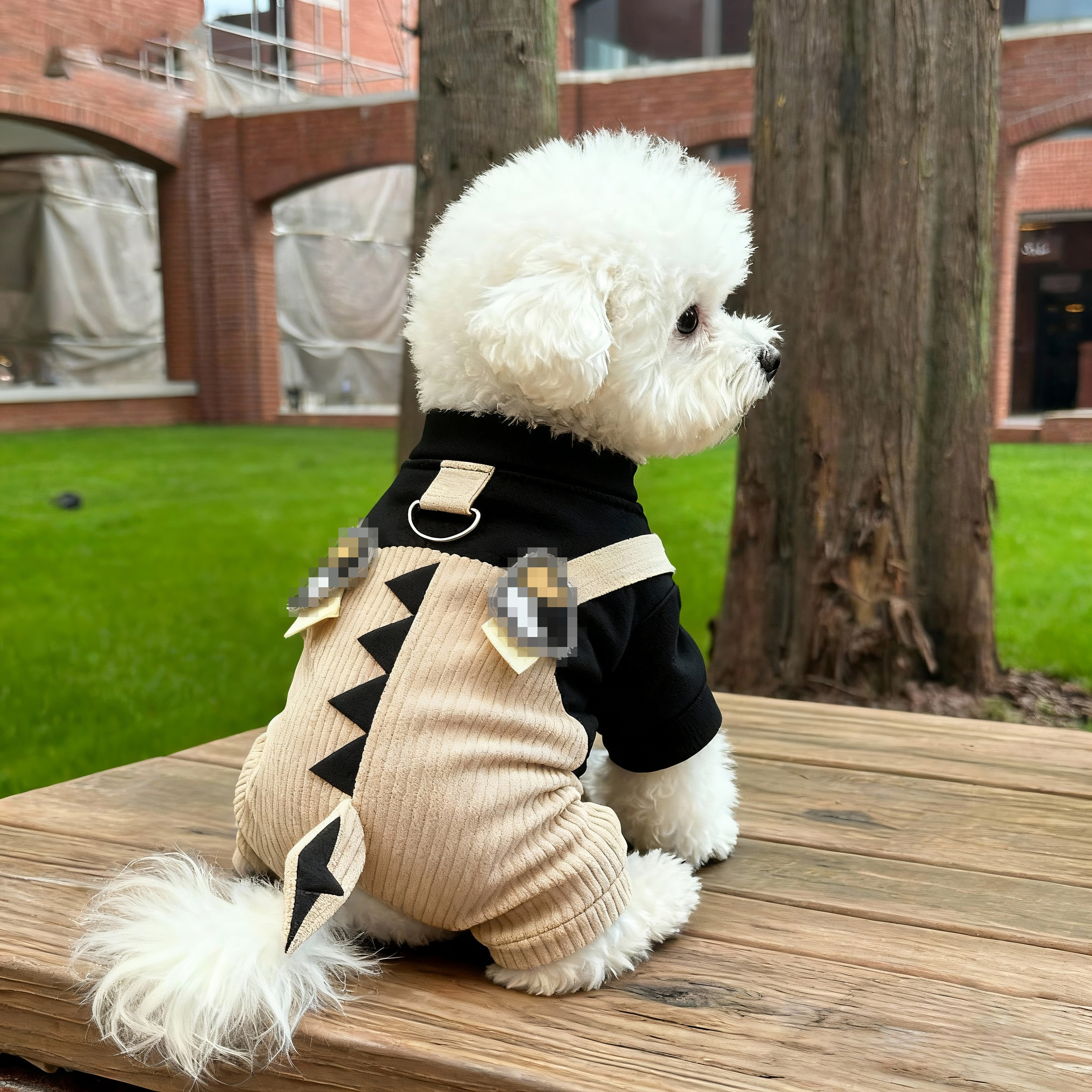 狗狗衣服秋冬保暖布莱克恐龙四脚衣泰迪比熊博美小型犬宠物背带裤,宠物/宠物食品及用品,狗宠物服装/雨衣,淘宝优惠券,粉丝福利购,淘宝优惠卷