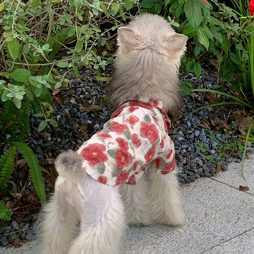 Dog clothes Summer holiday beach style shirt Schnauzer Teddy bear small puppy pet cat clothing