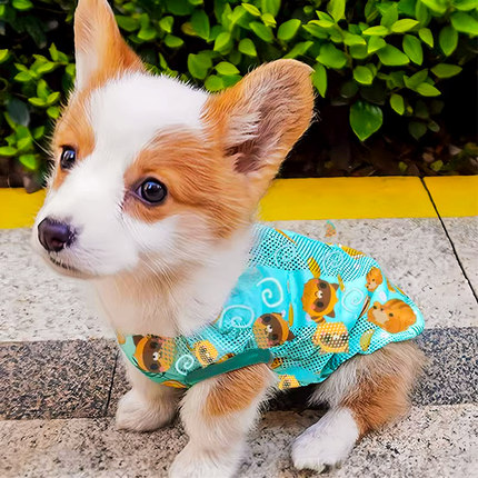 狗狗衣服夏季清凉透气可牵引柯基泰迪比熊中小型幼犬宠物猫咪背心