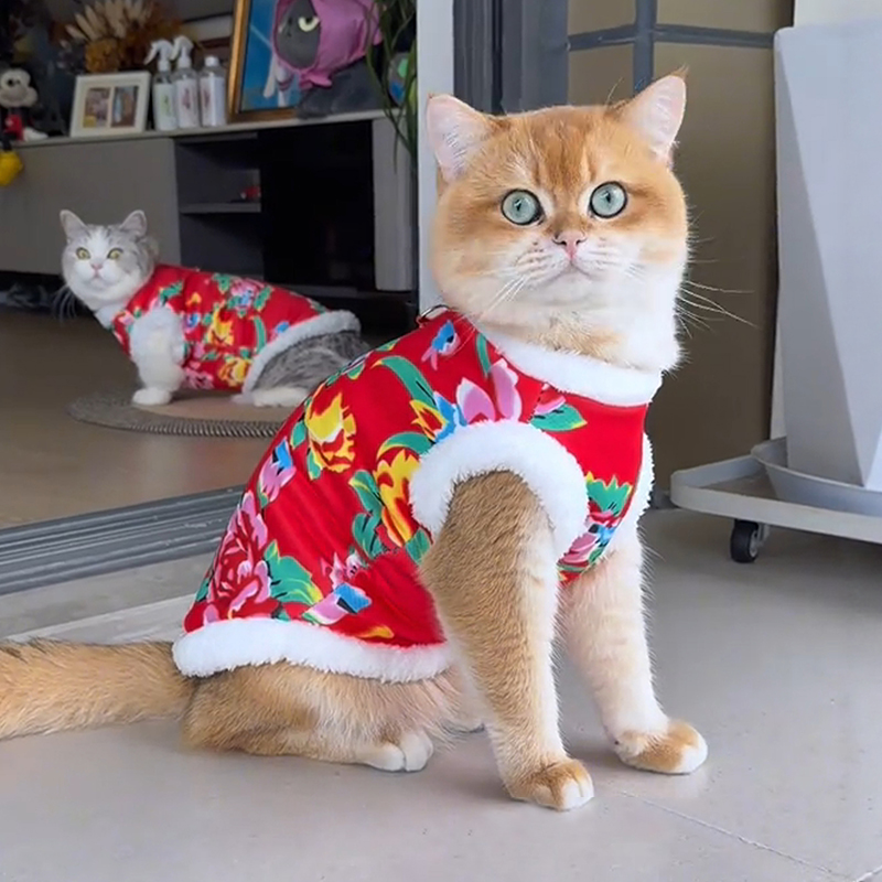 猫咪衣服新年保暖喜庆东北大花袄