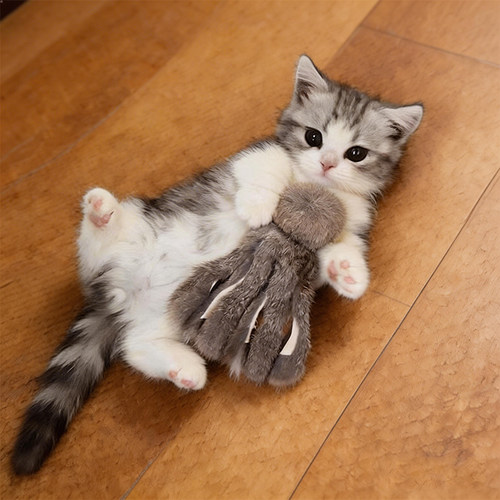 猫咪玩具毛绒八爪鱼踢踢乐逗猫棒