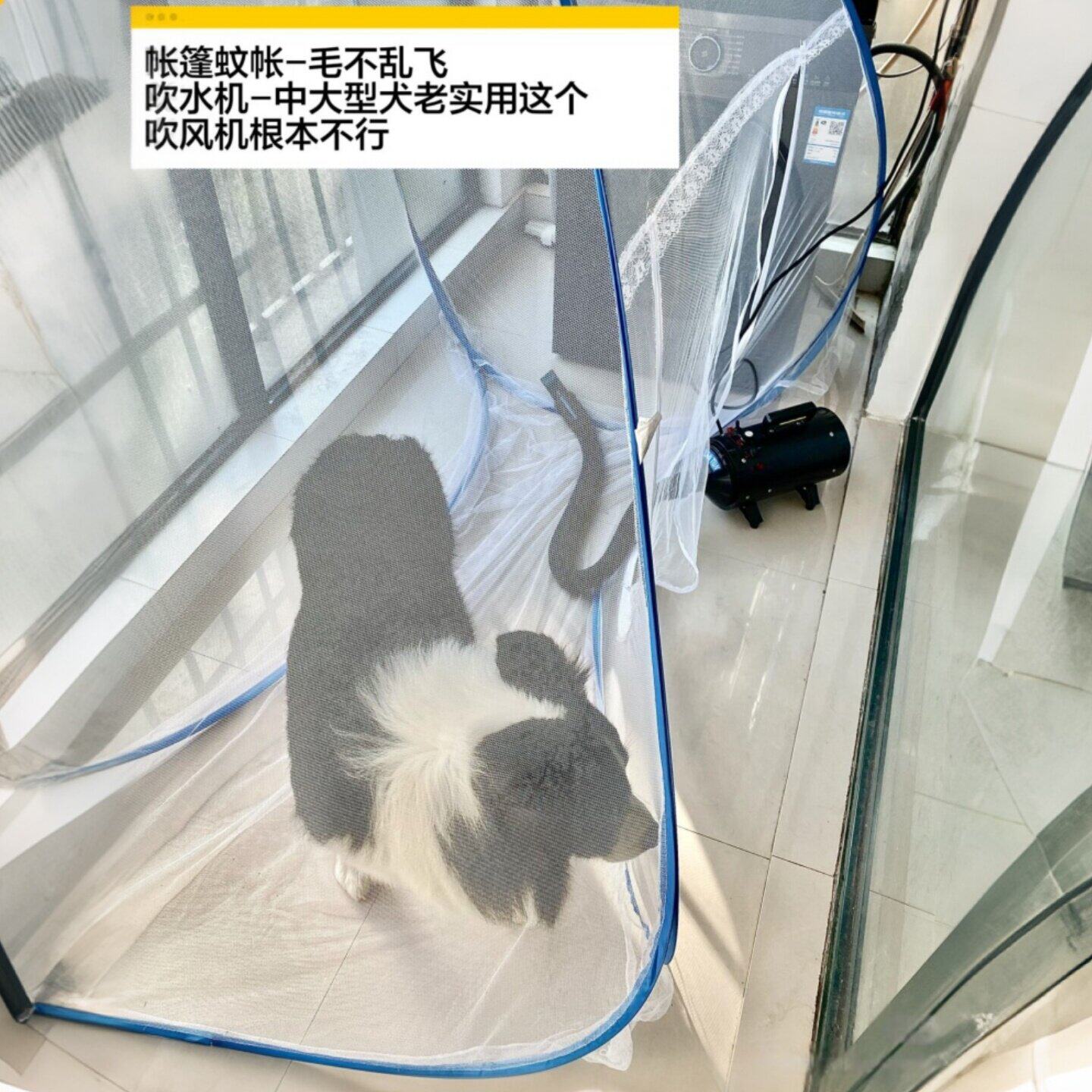 狗狗蚊帐洗澡吹毛防乱飞蒙古包免安装宠物专用大中型犬夏日狗窝