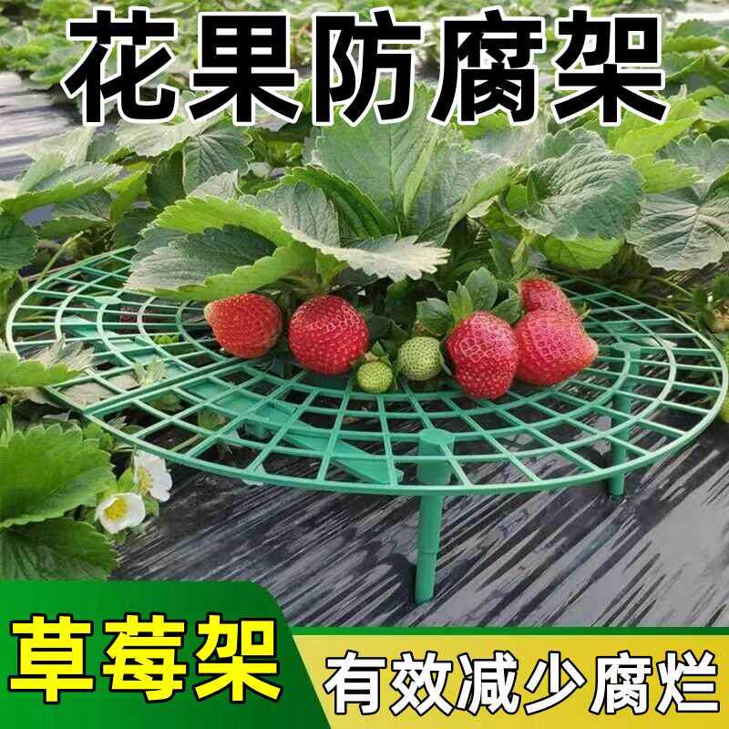 家庭种植托架草莓支架托盘阳台倒伏神器果实拼接立体盆栽支撑架