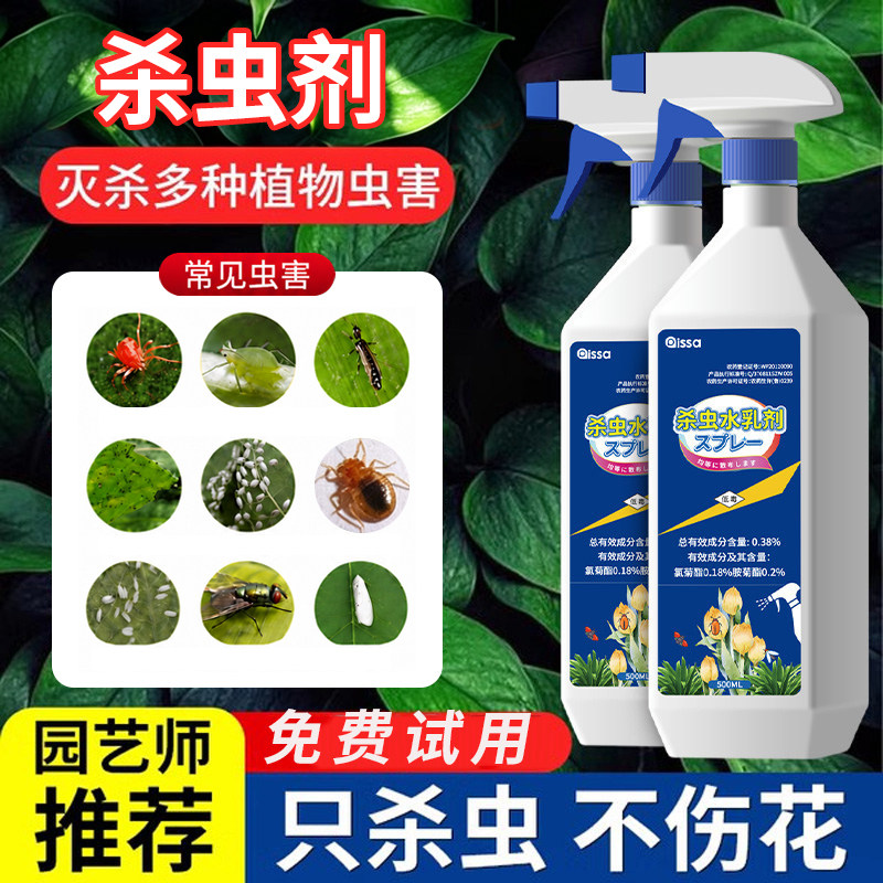 杀虫剂植物月季花病虫害常用药蚜虫花卉植物室内非红蜘蛛通用杀虫