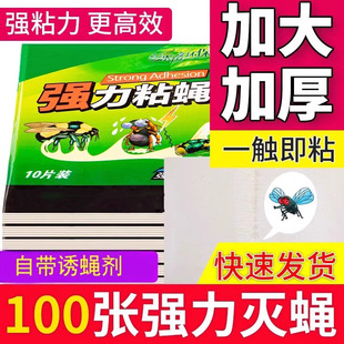 强力粘蝇纸苍蝇贴家用粘蝇板苍蝇捕捉神器诱捕灭蝇子蚊子杀手克星