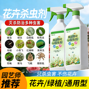 杀虫药花卉植物月季 花病虫害常用药蚜虫小黑飞非红蜘蛛蚂蚁专用剂