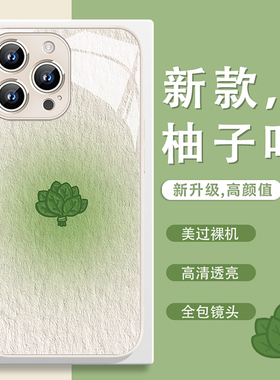 转运好运柚子叶适用苹果17系列手机壳air新款iPhone16plus去晦气15pro/13mini赵露思12同款11玻璃xr黑色8/6/7