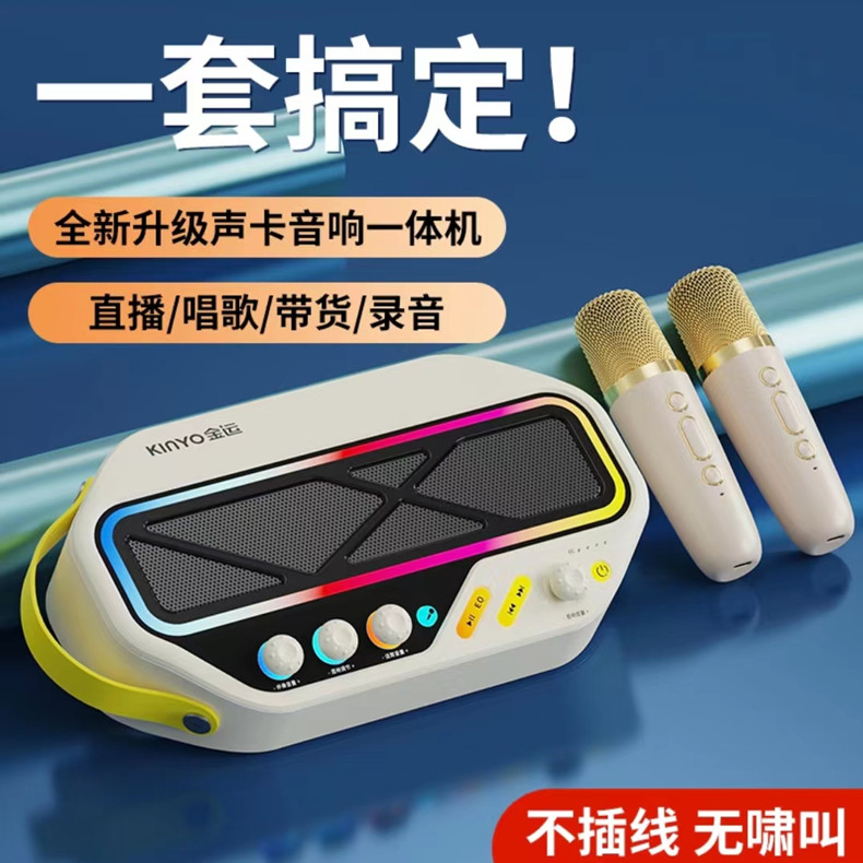 金运C20款高端声卡音响一体机低音炮直播唱歌户外专业级设备套装