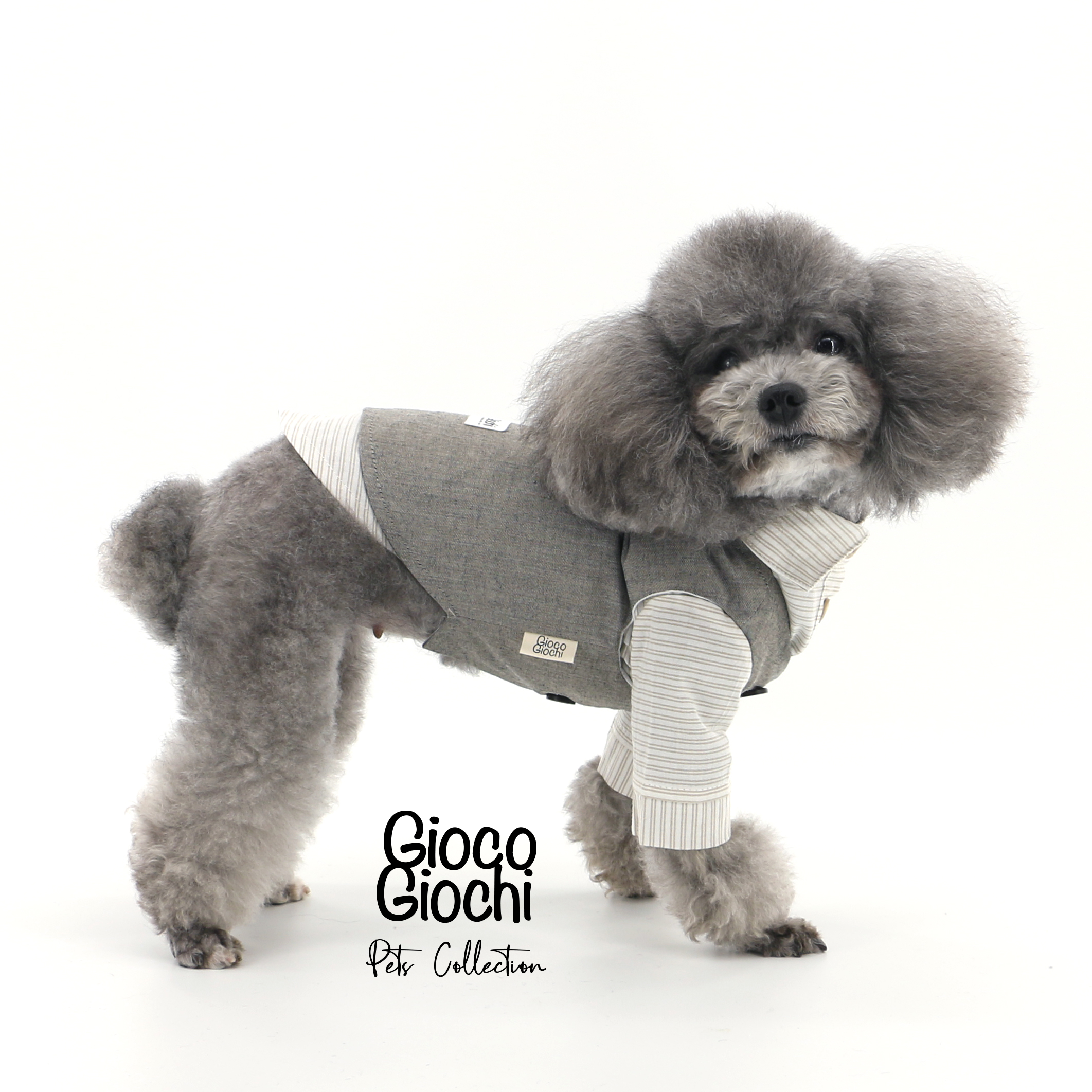 GiocoGiochi猫狗棉复古西装衬衫