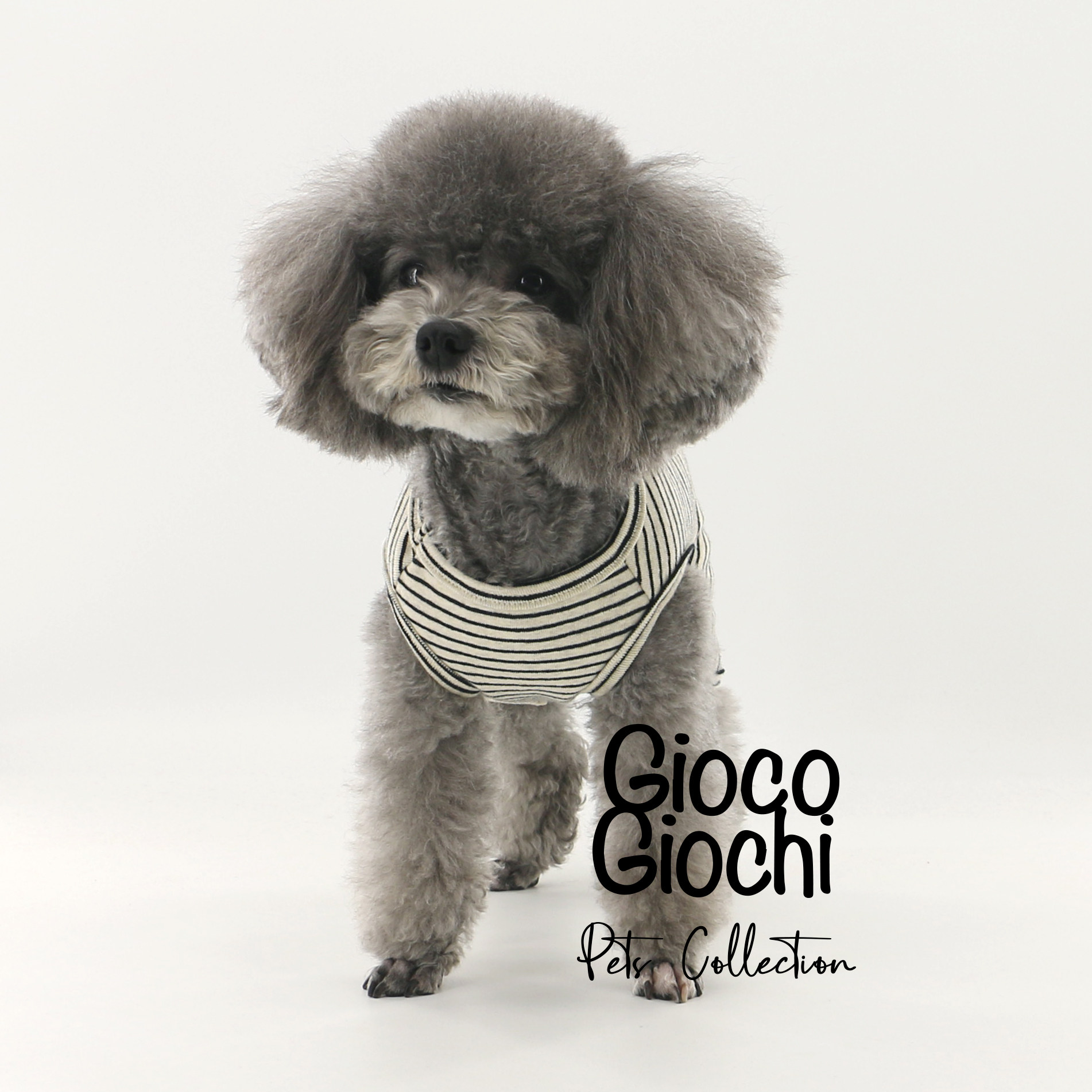 GiocoGiochi宠物春秋纯棉短腿四脚衣泰迪母狗绝育术后包肚背心,宠物/宠物食品及用品,狗宠物服装/雨衣,淘宝优惠券,粉丝福利购,淘宝优惠卷