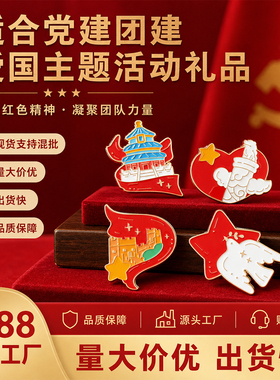 新品爱国主题徽章胸针金属别针红色配饰党建活动礼物现货配饰