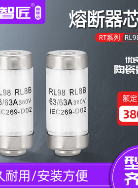 陶瓷保险丝管RO26 RL98 RL8B螺旋式熔断器380V熔芯 32A40A63A铜帽