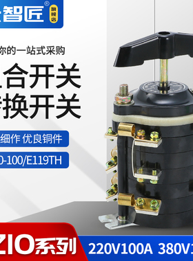 组合转换开关 HZ10-100/E119 电焊机开关 HZ10-100E119 100A 380V