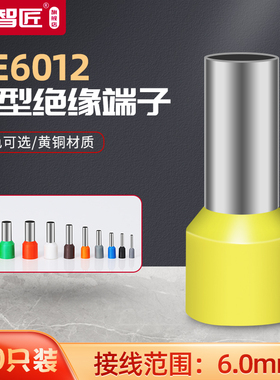 黄铜欧式管形端子VE6012冷压端子插针铜线鼻子6平方针形E6012