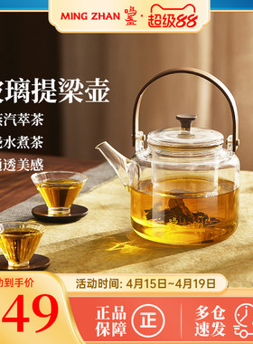 鸣盏玻璃提梁壶家用小型烧水壶泡茶专用煮茶壶泡茶壶茶具MZ8021A