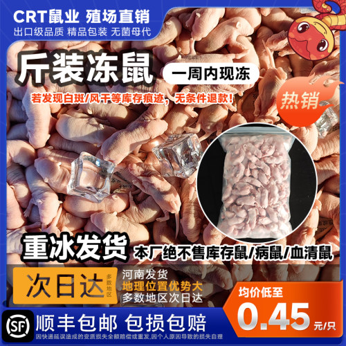 红皮乳鼠冰冷冻小老鼠蛇