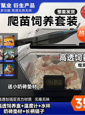 爬宠饲养盒箱蛇苗多功能宠物爬行动蜘蛛守宫角蛙亚克力
