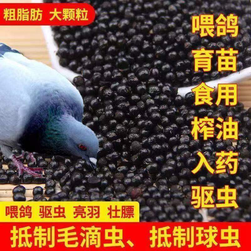 花椒籽鸽粮驱虫育苗除湿包邮